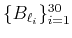 $ \{B_{\ell_i}\}_{i=1}^{30}$